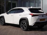 Used Lexus UX 250h 180 HP (132 kW) 2019 White SUV