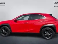Used Lexus UX 250h 184 HP (135 kW) 2024 SUV
