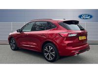 Used Ford Kuga ST-Line X 150 HP (110 kW) 2023 Red SUV