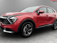 Used Kia Sportage 159 HP (116 kW) 2024 SUV