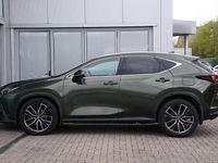 Used Lexus NX450h+ 301 HP (221 kW) 2024 Green SUV