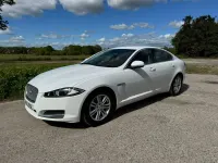 Gebraucht Jaguar XF Luxury 163 PS (119 kW) 2013 Weiß Limousine