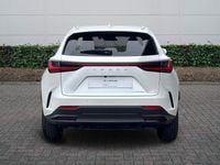 Used Lexus NX350h 2024 White Estate