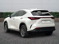 Used Lexus NX450h+ 2025 White SUV