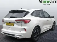 Used Ford Kuga ST-Line X 150 HP (110 kW) 2023 White SUV