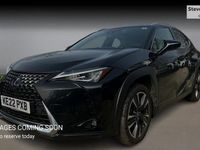 Used Lexus UX 250h 184 HP (135 kW) 2024 SUV