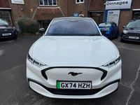 Used Ford Mustang Premium 294 HP (216 kW) 2024 White Hatchback