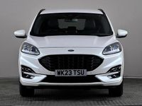 Used Ford Kuga ST-Line 150 HP (110 kW) 2023 White SUV