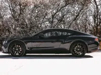 Used Bentley Continental 635 HP (467 kW) 2019 Blue Coupe