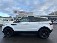 Used Land Rover Range Rover evoque SE 240 HP (176 kW) 2017 White SUV