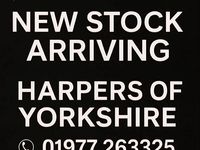 Used Jaguar XE R-Sport 2015 White Sedan