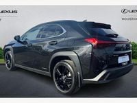 Used Lexus UX 250h 184 HP (135 kW) 2024 SUV