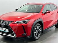 Used Lexus UX 250h 184 HP (135 kW) 2024 SUV
