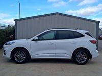 Used Ford Kuga ST-Line 150 HP (110 kW) 2020 White SUV
