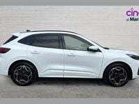 Used Ford Kuga ST-Line X 180 HP (132 kW) 2024 White SUV