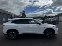 Used MG HS Trophy 221 HP (162 kW) 2026 White SUV