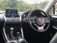 Used Lexus NX300h Luxury Line 195 HP (143 kW) 2016 Silver SUV