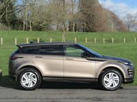 Used Land Rover Range Rover evoque R-Dynamic 2020 Brown SUV