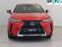 used Lexus UX 2.0 250H E-CVT EURO 6 (S/S) 5DR HYBRID FROM 2020 FROM WELLINGBOROUGH (NN8 4LG) | SPOTICAR