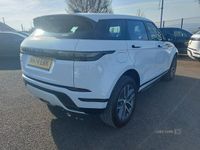 Used Land Rover Range Rover evoque SE Dynamic 2025 White SUV