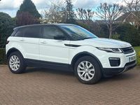 Used Land Rover Range Rover evoque SE 2016 White Estate