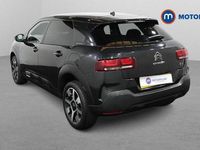 Used Citroën C4 Cactus Flair 110 HP (80 kW) 2020 Hatchback