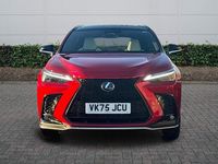 Used Lexus NX350h Sport Line 2025 Red Estate