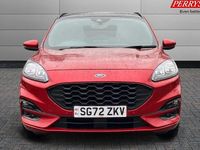 Used Ford Kuga ST-Line X 190 HP (139 kW) 2023 SUV