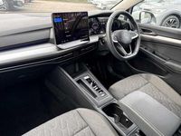 Used VW Golf VIII 150 HP (110 kW) 2024