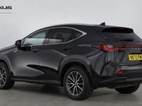 Used Lexus NX450h+ 2023 Black SUV