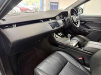 Used Land Rover Range Rover evoque R-Dynamic 309 HP (227 kW) 2022 Grey SUV