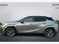 Used Lexus UX 300h Sport Line 199 HP (146 kW) 2026 SUV