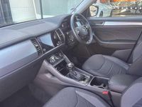 Used Skoda Kodiaq SE Drive 147 HP (108 kW) 2024 Black SUV