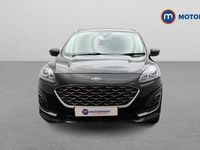 Used Ford Kuga Vignale 224 HP (164 kW) 2023 SUV
