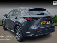 Used Lexus NX350h 2023 Grey Estate