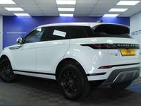 Used Land Rover Range Rover evoque 150 HP (110 kW) 2019 White SUV
