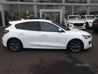 Used Ford Focus ST-Line 152 HP (111 kW) 2024 White Hatchback