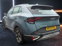 Used Kia Sportage 159 HP (116 kW) 2024 SUV