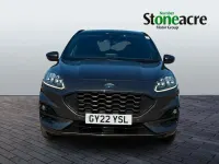 Used Ford Kuga ST-Line X 190 HP (139 kW) 2022 Grey SUV