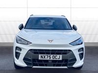 Used Cupra Terramar 150 HP (110 kW) 2025 SUV