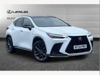 Used Lexus NX350h Sport Line 242 HP (177 kW) 2024 White SUV