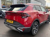 Used Kia Sportage 159 HP (116 kW) 2024 SUV