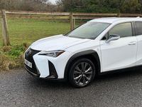 Used Lexus UX 250h Sport Line 2019 White SUV