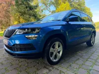 Used Skoda Karoq SE 2022 Blue SUV