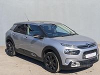 Used Citroën C4 Cactus Flair 100 HP (73 kW) 2019 Grey Hatchback
