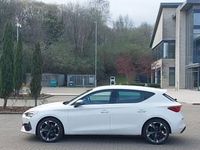 Used Cupra Leon 150 HP (110 kW) 2024 White Hatchback