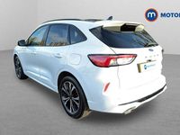 Used Ford Kuga ST-Line X 190 HP (139 kW) 2023 White SUV