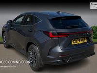 Used Lexus NX450h+ 2024 Grey SUV