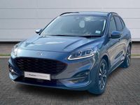 used Ford Kuga 1.5 ECOBLUE ST-LINE X FIRST EDITION AUTO EURO 6 (S DIESEL FROM 2020 FROM HULL (HU4 7DY) | SPOTICAR