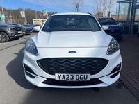 Used Ford Kuga ST-Line 2023 White SUV